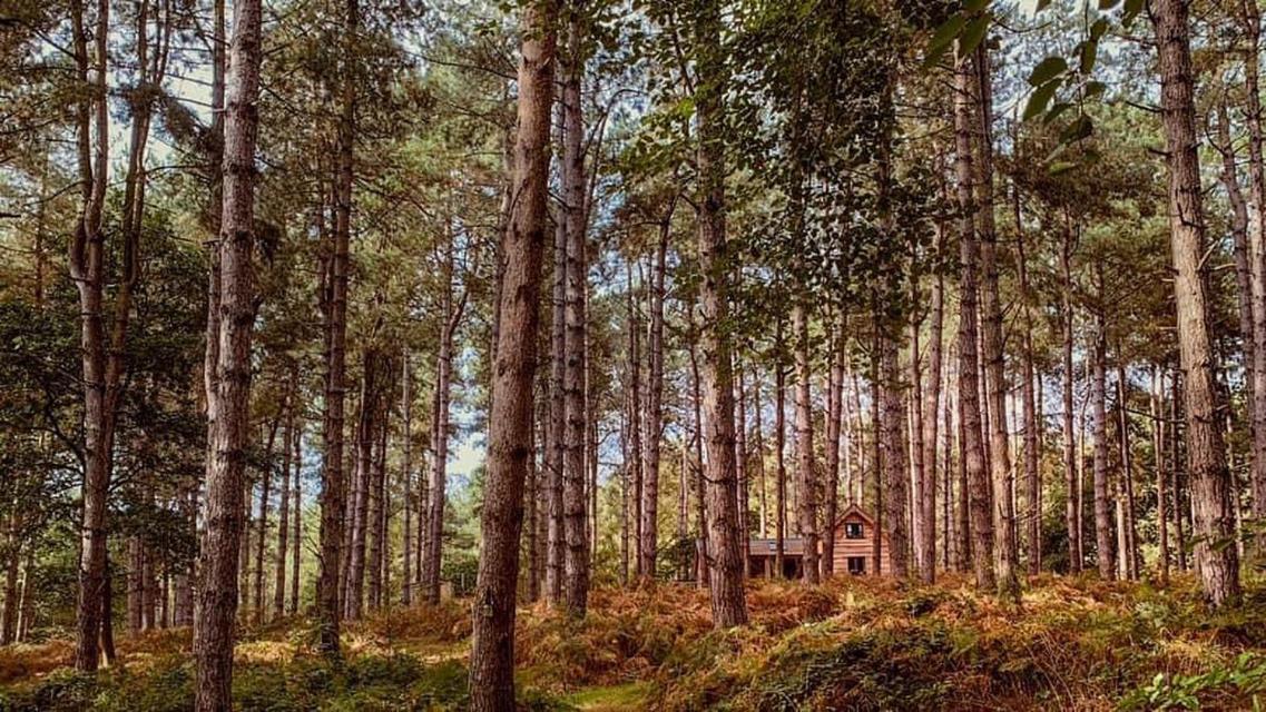 Keepers Cabin - Hot Tub King's Lynn Luaran gambar